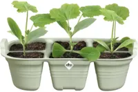 Elho Zaaitray green basics 22cm steengroen - thumbnail