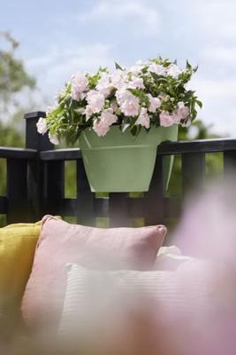 Elho Balkonbak Vibia Campana flower bridge 40cm Groen - thumbnail
