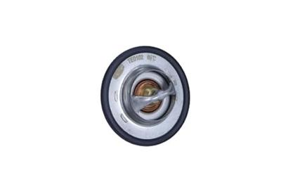 Thermostaat, koelvloeistof TE0102