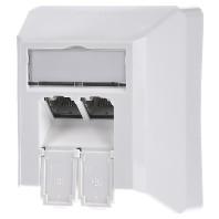 Telegärtner 100023002 Netwerkdoos Opbouw (op muur) CAT 6A 2 poorten Alpine-wit