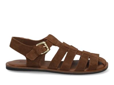 Copenhagen Shoes CS8925 125 tan Cognac maat 38