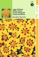 Zaden Tagetes lage Afrikaan Naughty Marietta Hortitops - Hortitops - thumbnail