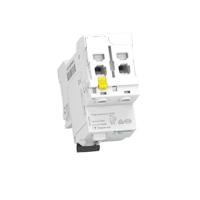 Schneider Electric A9Z21225 A9Z21225 Aardlekschakelaar A 25 A 0.03 A 240 V - thumbnail