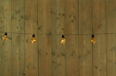 Solar 10 partylights 4.5m/1.5m aanloopsnoer zwart / solarpaneel met steker en clip Anna's Collection - Annas collection