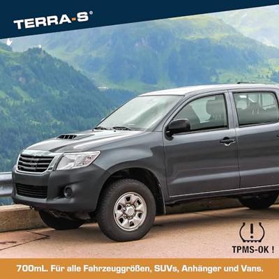 AUTOSTYLING SEEHASE reifenpannen-set "terra s " terra s tire tensioner se with compressors