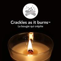 WoodWick Geurkaars Large Coastal Sunset - 18 cm / ø 10 cm - Geurkaars in Glas - Houten Lont - thumbnail