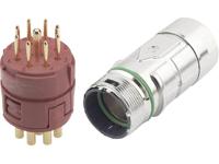 Epic® Stekkerverbinder M23 8+1-polig in set EPIC® KIT M23 F6 8+1-POL MALE LAPP Inhoud: 1 set(s) - thumbnail