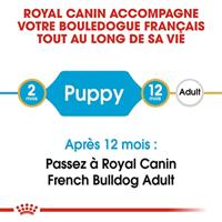 Royal Canin Puppy Franse Bulldog hondenvoer 2 x 3 kg - thumbnail