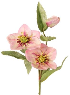 Helleborus Kerstroos met 2 bloemen 8 cm & 10 cm & 1 knop 8 bladeren 55 cm real touch kunstbloem Top Art - Top art Helleborus Kerstroos met 2 bloemen 8 cm & 10 cm & 1 knop 8 bladeren 55 cm real touch kunstbloem Top Art - Top art