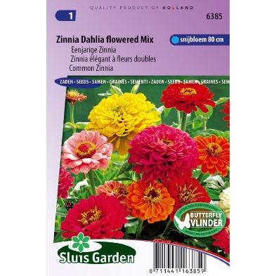 Eenjarige Zinnia bloemzaden – Zinnia Dahlia flowered mix Eenjarige Zinnia bloemzaden – Zinnia Dahlia flowered mix