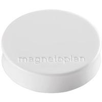 magnetoplan Magneet Ergo Medium (Ø x h) 30 mm x 8 m Rond Wit 10 stuk(s) 1664000 - thumbnail