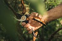 Fiskars 1057164 Solid™ P341 Tuinschaar 205 mm - thumbnail