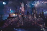 Poster Harry Potter - Hogwarts 91,5x61cm - thumbnail