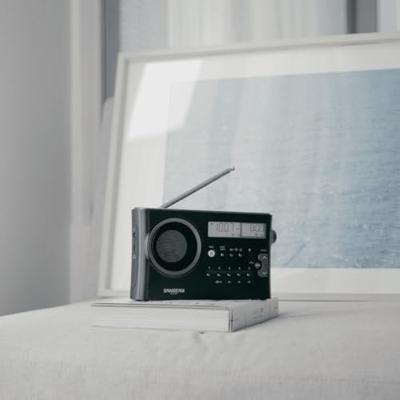 Sangean PR-D4 BT Radio VHF (FM), Middengolf, AM, FM Bluetooth Metallic-grijs (mat)