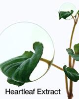 Anua Heartleaf 77% Soothing Toner 500 ml - thumbnail