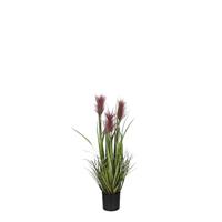 Mica Decorations Kunstplant - siergras - groen|bruin - H80 x D35 cm - thumbnail