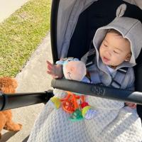 Playgro Paarden rammelaar blauw - thumbnail