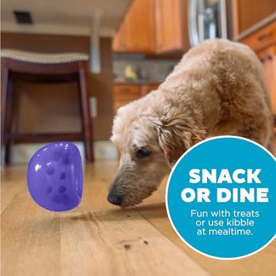 Outward Hound Orbee-Tuff Snoop M Paars
