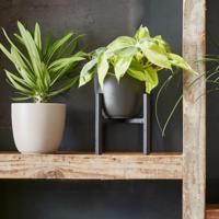 Mica Decorations tusca pot zwart 13x14cm - thumbnail