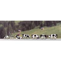 NOCH 45721 TT Koeien figuren Geverfd, Staand - thumbnail