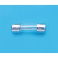 Belfuse 5ET 10-R Buiszekering 10 A 250 V 1 stuk(s) Bulk - thumbnail