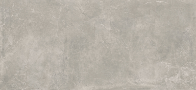 Concept Grey gepolijst 120x260 rett