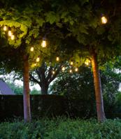 Ledr buiten feestverlichting zwart - 10 Edison LED lampen (5 m) & stekker (3 m) - Premium Patio Lights  - Waterdicht - thumbnail