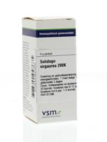 VSM Solidago virgaurea 200K 4 Gram - thumbnail