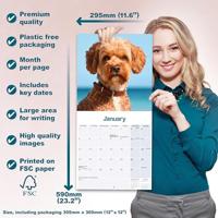 Cavapoo Kalender 2026 - thumbnail