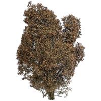 Busch 3590 Struik 150 mm Herfst - thumbnail