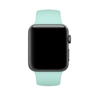 Apple Sport Band Apple Watch 42mm / 44mm / 45mm / 49mm Marine Green - thumbnail