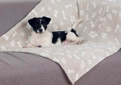 TRIXIE PLUCHE DEKEN KENNY BEIGE 100X75X2 CM 2 ST