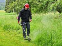 Einhell Professional GP-BC 36/430 Li BL-Solo Accu-motortrimmer 36 V Snijbreedte max.: 255 mm - thumbnail
