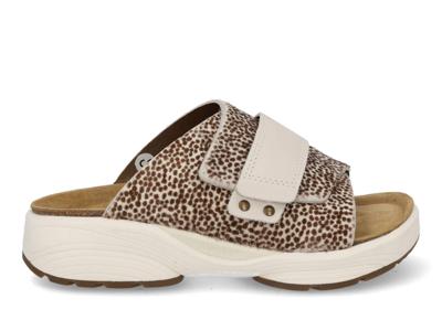 Xsensible Amaryllis 158 off white fa Wit maat 37 Xsensible Amaryllis 158 off white fa Wit maat 37