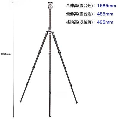 Benro Rhino Carbon Reisstatief met Balhoofd FRHN24CVX25