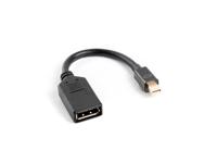 DisplayPort Mini naar DisplayPort Kabel Lanberg AD-0003-BK Zwart 10 cm - thumbnail