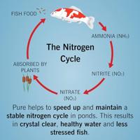 Evolution Aqua Pure Pond 500ml - Biologisch afbreekbare Bacterieballen voor een Gezonde Heldere Vijver - thumbnail