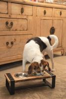 DBL HOUT DINERSET H KARINTO44X19X15 - thumbnail