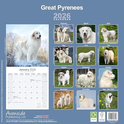 Pyreneese Berghond Kalender 2026 Pyreneese Berghond Kalender 2026