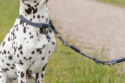 TRIXIE Soft Rope 1984001 Hondenriem, M-L 1,0 m/10 mm, zwart/grijs, robuuste lange hondenriem van touw met Trigger Snap Hook, voor middelgrote honden, zacht en rond materiaal met polsband