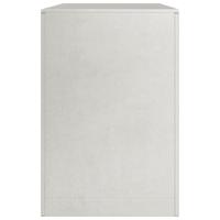 Haardhoutrek 100x40x60 cm roestvrij staal - thumbnail