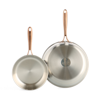 Rose 2-delige pannenset 20cm + 28cm - thumbnail