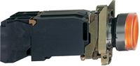 Schneider Electric XB4BW3545 XB4BW3545 Verlichte druktoets 600 V 6 A Moment (l x b x h) 57 x 30 x 47 mm IP66, IP67, IP69, IP69K 1 stuk(s) - thumbnail
