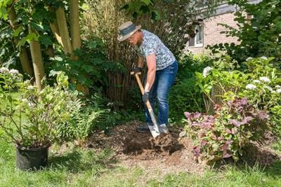 Idealspaten 10010203 Spade T-greep