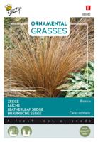 Ornamental Grasses Carex comans 'Bronco' zaden Buzzy - Buzzy - thumbnail