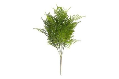 Decostar steker/hang Asparagus S 55 cm groen
