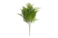 Decostar steker/hang Asparagus S 55 cm groen - thumbnail