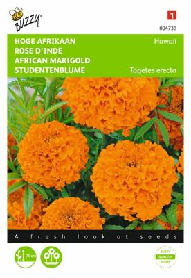 Zaden Tagetes hoge Afrikaan Hawaii oranje Buzzy - Buzzy Zaden Tagetes hoge Afrikaan Hawaii oranje Buzzy - Buzzy