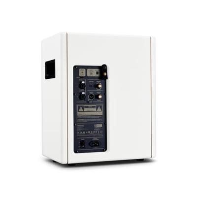 Positive Grid Spark Cab Pearl