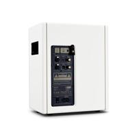 Positive Grid Spark Cab Pearl - thumbnail